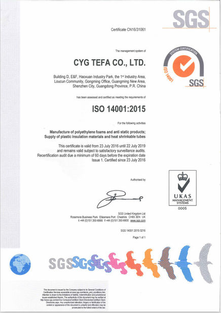 चीन Cyg Tefa Co., Ltd. प्रमाणपत्र